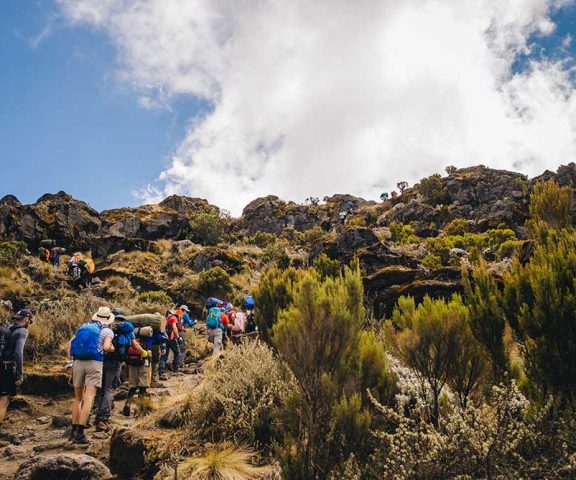 8 Days Lemosho Route Kilimanjaro Trek