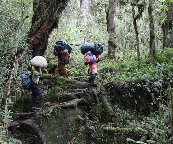 7 Days Machame Route Kilimanjaro Trek