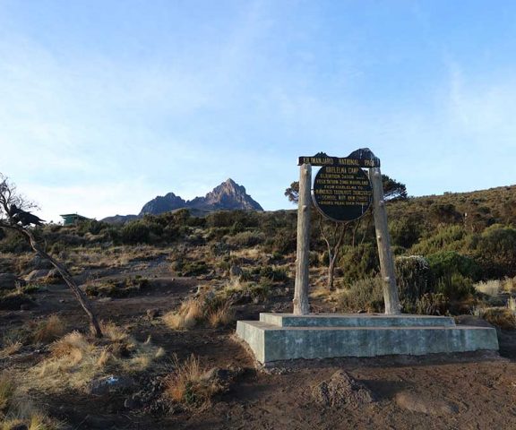 7 Days Rongai Route Kilimanjaro Trek