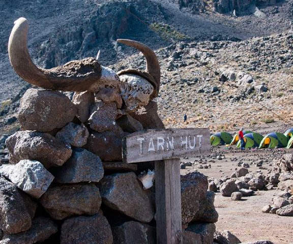 6 Days Rongai Route Kilimnajaro Trek