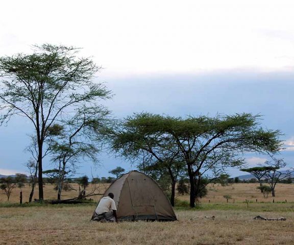 5 Days Camping Safari